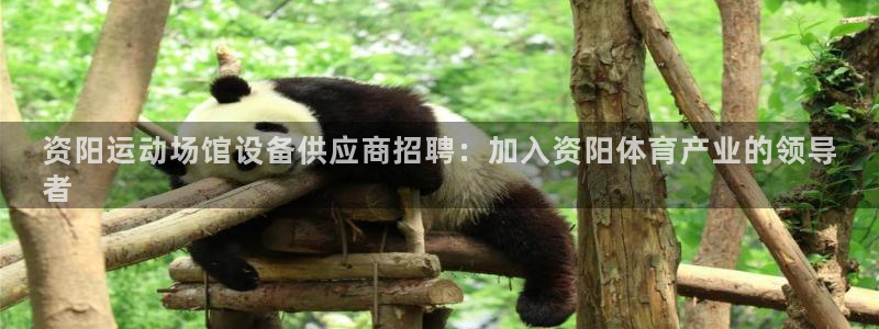 意昂3官方：资阳运动场馆设备供应商招聘：加入资阳体育