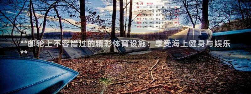意昂3科技：**邮轮上不容错过的精彩体育设施：享受海