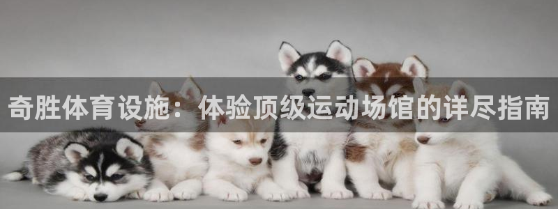 意昂3官网：奇胜体育设施：体验顶级运动场馆的详尽指南