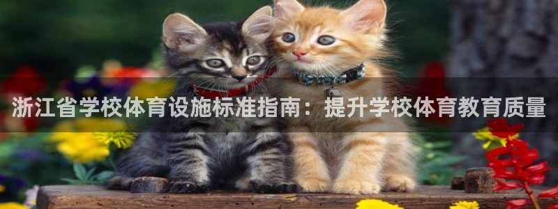 意昂3神州：浙江省学校体育设施标准指南：提升学校体育