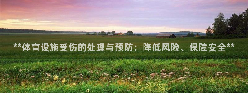 意昂体育3娱乐：**体育设施受伤的处理与预防：降低风