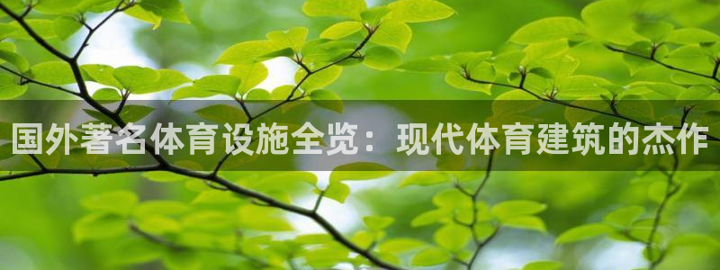 意昂3娱乐代理怎么样：国外著名体育设施全览：现代体育