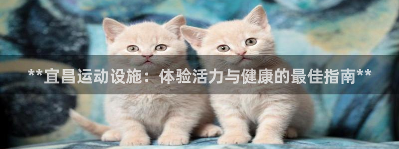 意昂3娱乐：**宜昌运动设施：体验活力与健康的最佳指