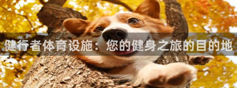 意昂体育3招商电话号码：健行者体育设施：您的健身之旅