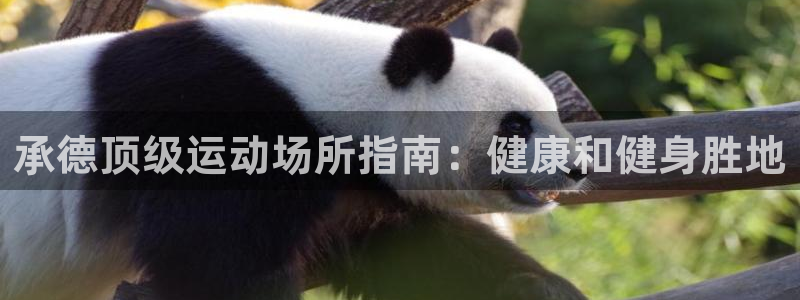 意昂体育3招商电话号码查询是多少：承德顶级运动场所指