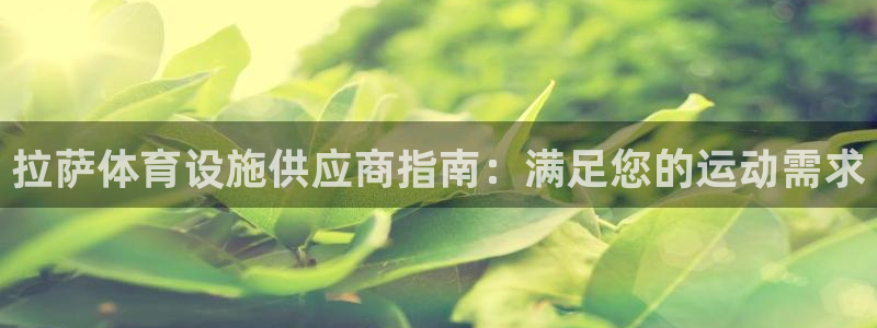 意昂体育3平台注册要钱吗：拉萨体育设施供应商指南：满