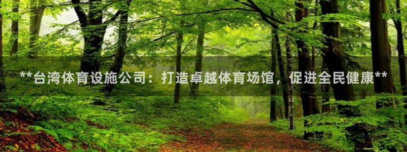 意昂3集团E.ON：**台湾体育设施公司：打造卓越体