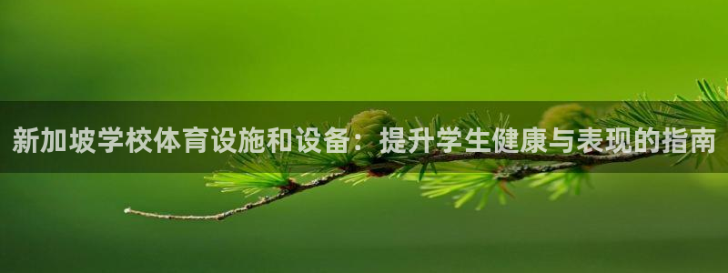 意昂3娱乐下载：新加坡学校体育设施和设备：提升学生健