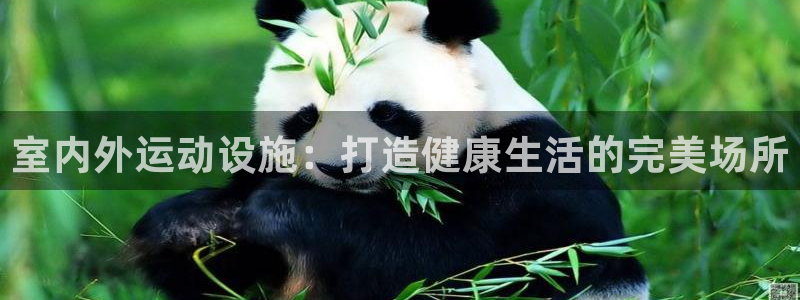 意昂3娱乐首页网站大全：室内外运动设施：打造健康生活