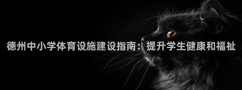 意昂3集团：德州中小学体育设施建设指南：提升学生健康