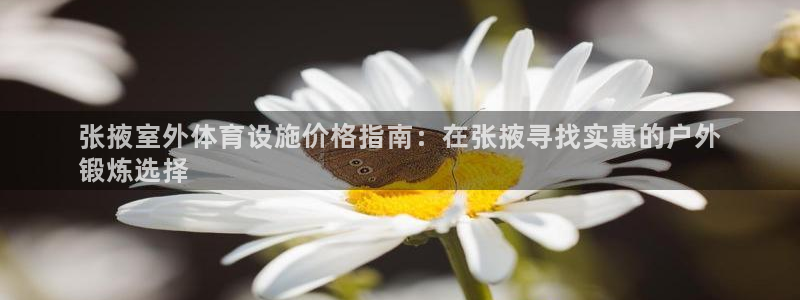 意昂体育3招商电话号码是多少号：张掖室外体育设施价格