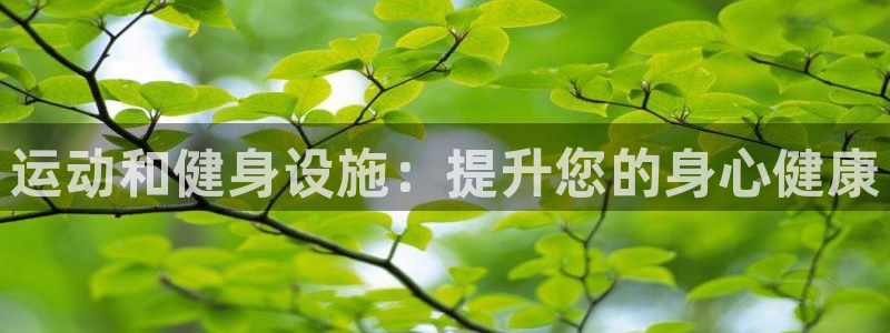 意昂3娱乐代理怎么样：运动和健身设施：提升您的身心健