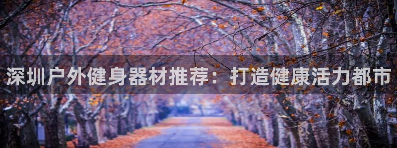 意昂3集团E.ON：深圳户外健身器材推荐：打造健康活