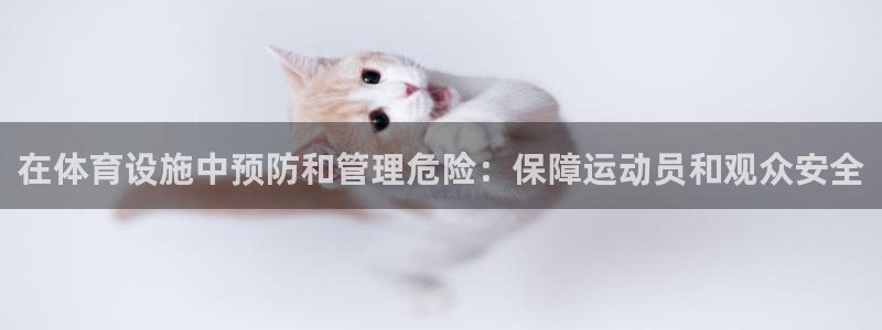 意昂3科技：在体育设施中预防和管理危险：保障运动员和