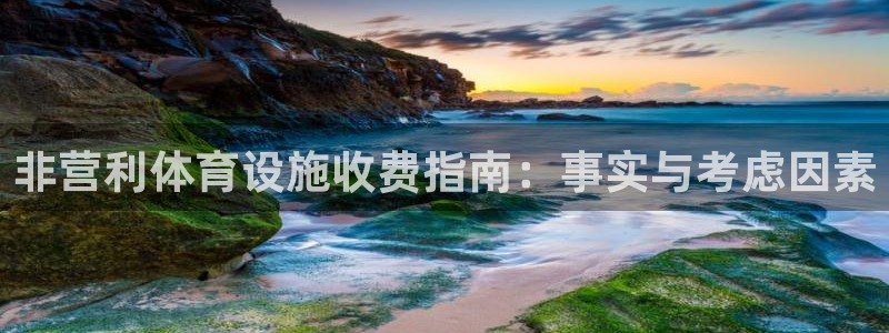 意昂3开户：非营利体育设施收费指南：事实与考虑因素