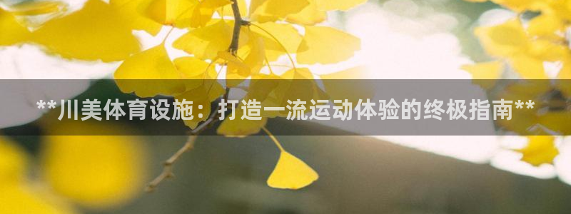 意昂体育3招商电话号码查询：**川美体育设施：打造一