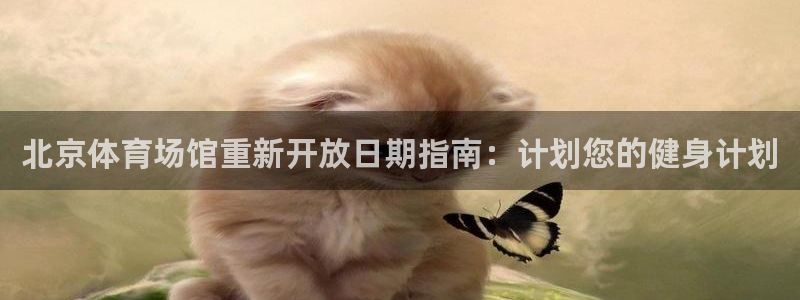意昂集团官网：北京体育场馆重新开放日期指南：计划您的