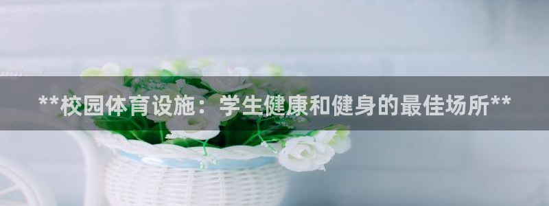 意昂3新能源：**校园体育设施：学生健康和健身的最佳
