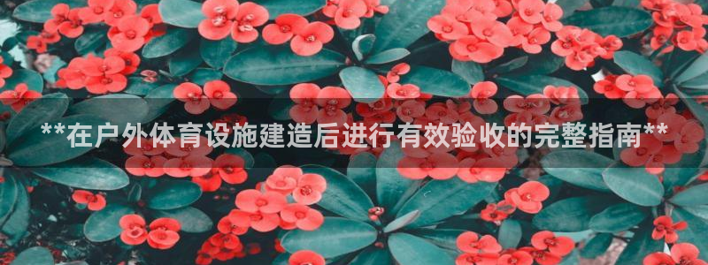 意昂3官网：**在户外体育设施建造后进行有效验收的完