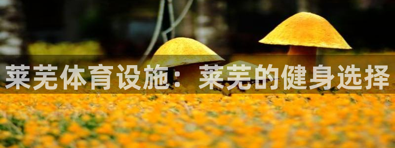 意昂3集团官网首页网址：莱芜体育设施：莱芜的健身选择