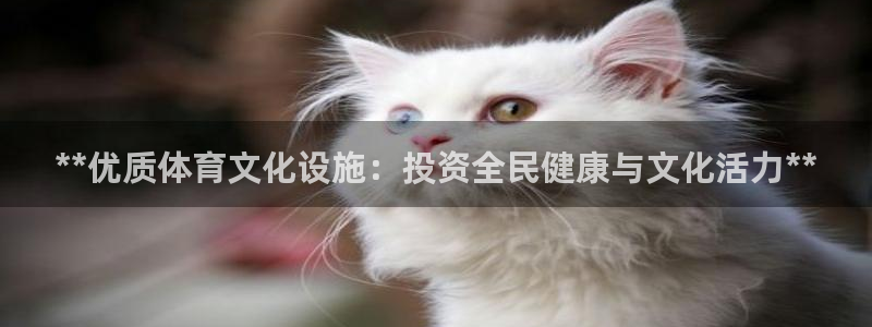 意昂3开户：**优质体育文化设施：投资全民健康与文化