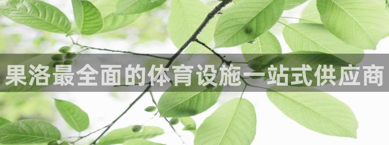 意昂3集团官网首页：果洛最全面的体育设施一站式供应商