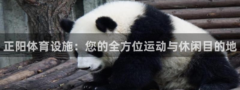 意昂体育3平台注册：正阳体育设施：您的全方位运动与休