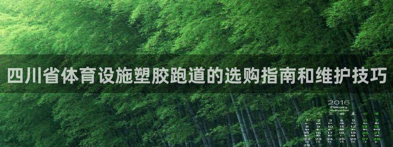 意昂体育3平台注册：四川省体育设施塑胶跑道的选购指南