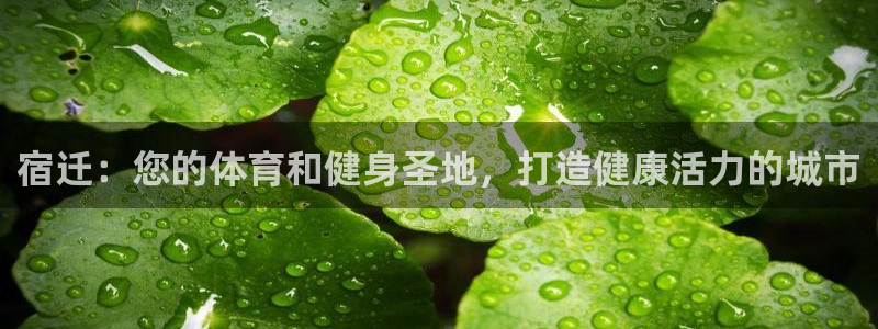 意昂体育3平台注册要钱吗：宿迁：您的体育和健身圣地，