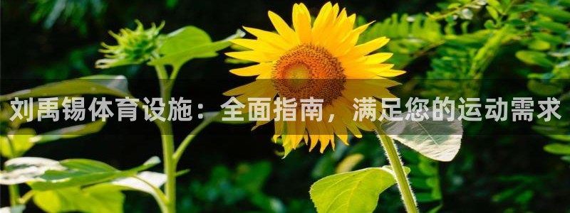 海南意昂体育3发展怎么样：刘禹锡体育设施：全面指南，