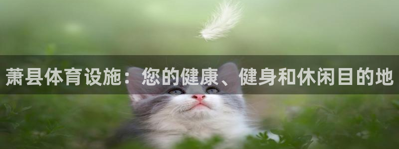 意昂平台体育：萧县体育设施：您的健康、健身和休闲目的