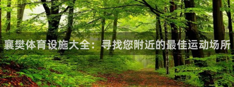 意昂3官网：襄樊体育设施大全：寻找您附近的最佳运动场