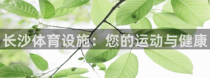 意昂3科技：长沙体育设施：您的运动与健康