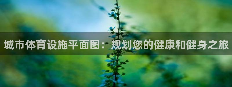 意昂3娱乐平台：城市体育设施平面图：规划您的健康和健