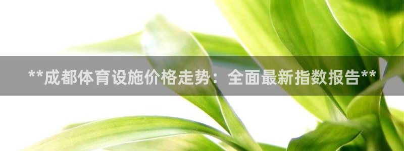 注册意昂3：**成都体育设施价格走势：全面最新指数报