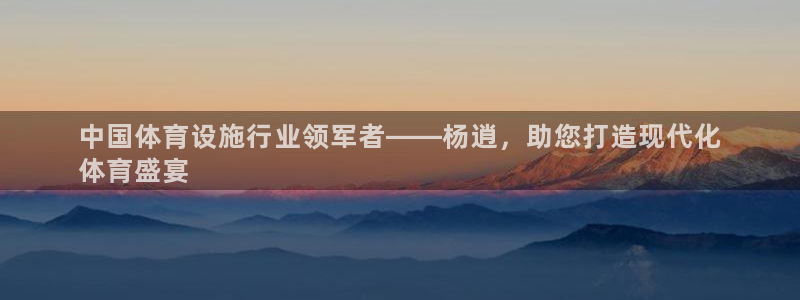 意昂3集团E.ON：中国体育设施行业领军者——杨逍，