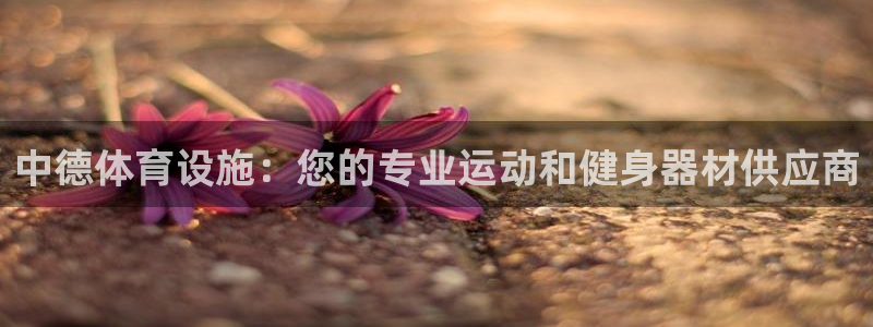 意昂体育3平台假的吗是真的吗：中德体育设施：您的专业
