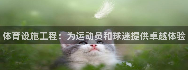意昂3集团官网首页：体育设施工程：为运动员和球迷提供