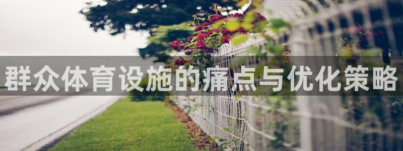 意昂体育3平台假的吗是真的吗：群众体育设施的痛点与优