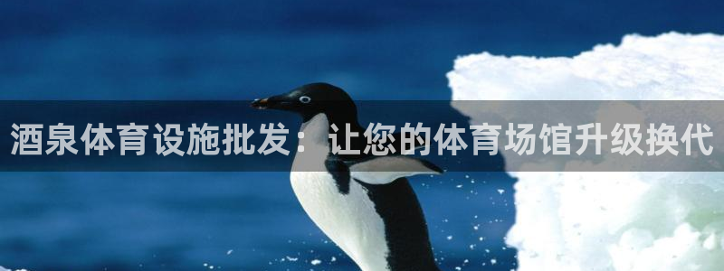 意昂体育3：酒泉体育设施批发：让您的体育场馆升级换代
