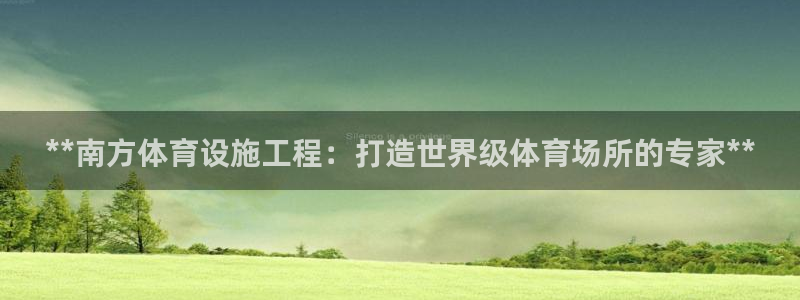 德国意昂3集团：**南方体育设施工程：打造世界级体育