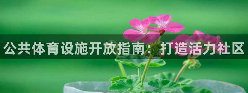 意昂体育3开户：公共体育设施开放指南：打造活力社区