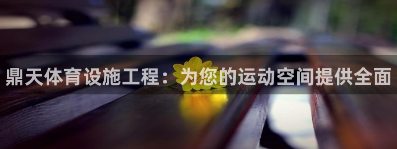 意昂体育3招商电话是多少：鼎天体育设施工程：为您的运