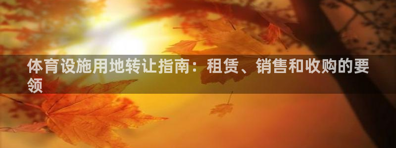 意昂体育3是干嘛的公司：体育设施用地转让指南：租赁、