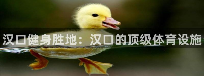 意昂3神州：汉口健身胜地：汉口的顶级体育设施