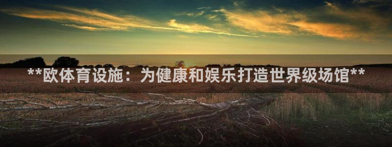 意昂体育3平台是正规平台吗：**欧体育设施：为健康和娱乐打造