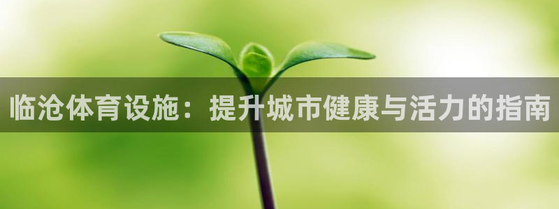 意昂体育3平台注册流程图：临沧体育设施：提升城市健康与活力的