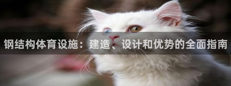 意昂体育3招商：钢结构体育设施：建造、设计和优势的全