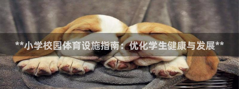 意昂体育3招商电话地址查询：**小学校园体育设施指南