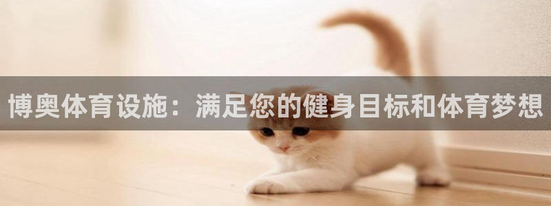 意昂平台体育